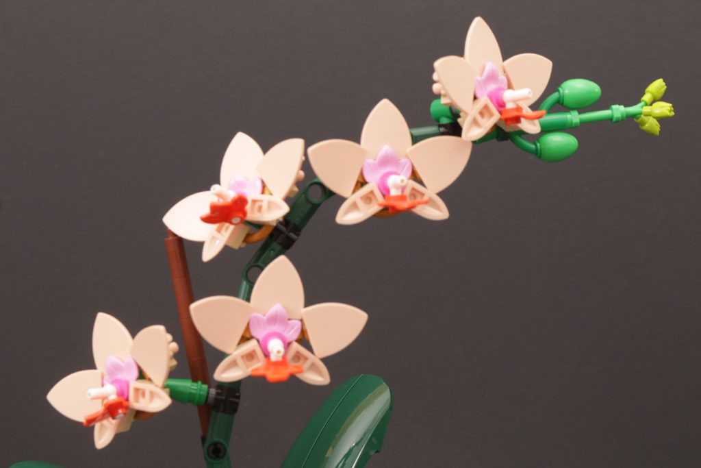 LEGO Botanicals 10343 Mini Orchid and 10344 Lucky Bamboo review 10 1024x683