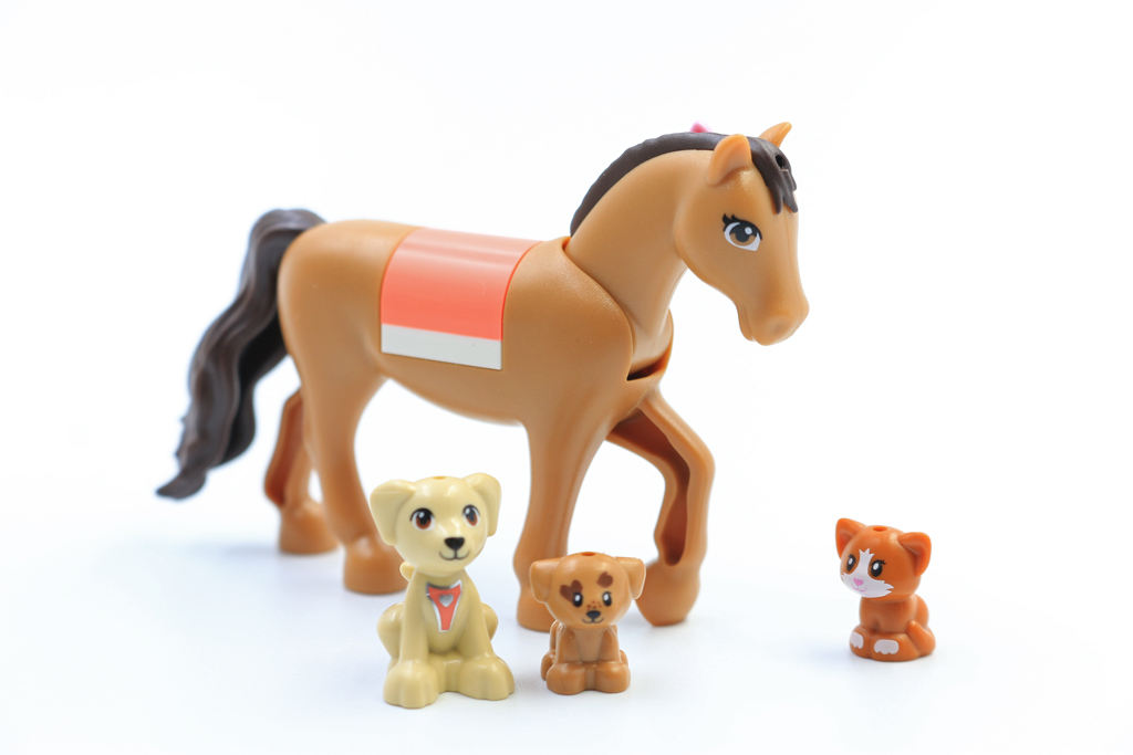 41446HeartlakeCityVetClinic10