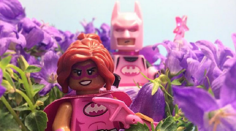 Brick Pic of the Day: Bats in pink