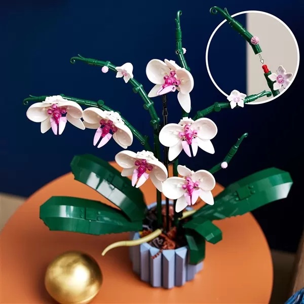 10311 Orchid 4