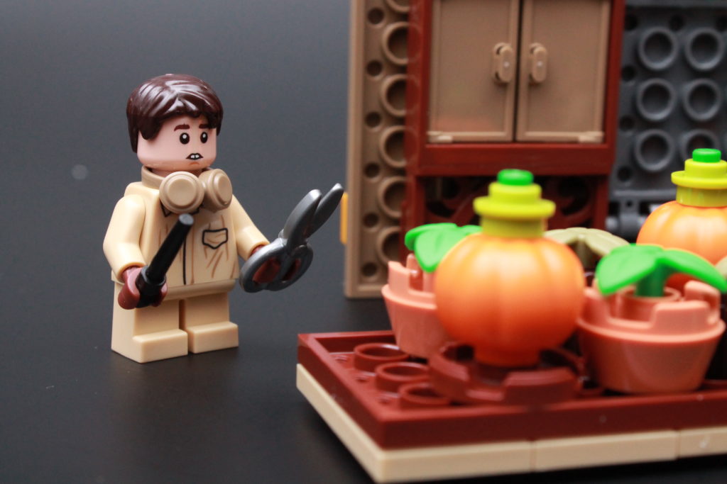 LEGO Harry Potter 76384 Hogwarts Moment Herbology Class review 3