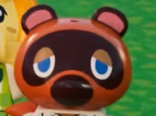 lego animal crossing racoon