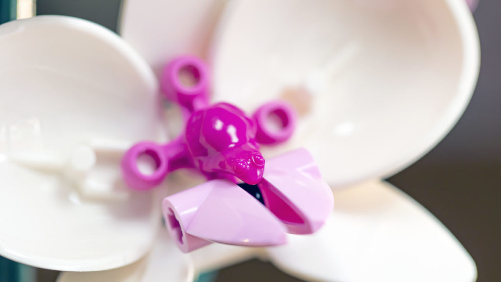 LEGO Botanical Collection 10311 Orchid 5 1024x576