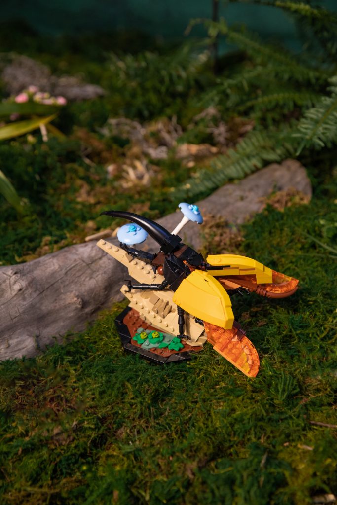 LEGO Ideas 21342 The Insect Collection 10 683x1024