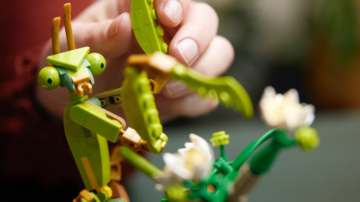 Five perfect pairings for LEGO Ideas 21342 The Insect Collection