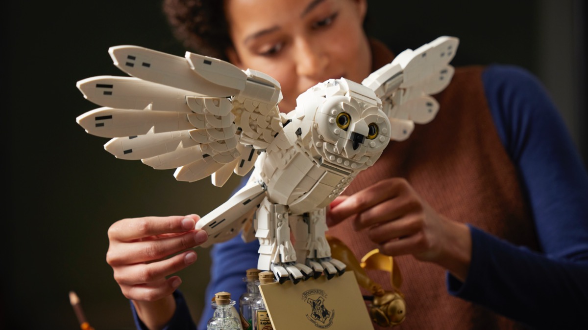 Spot the difference between two LEGO Harry Potter Hedwigs
