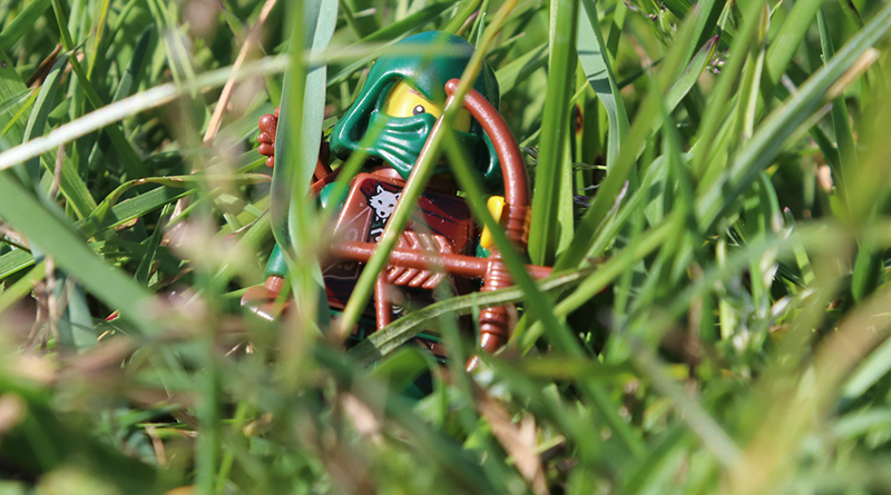 Brick Pic of the Day: Camouflage