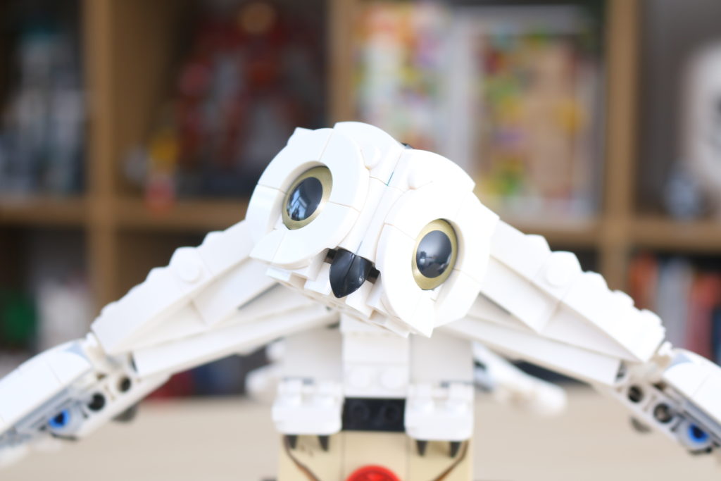 LEGO Harry Potter 75979 Hedwig review 3