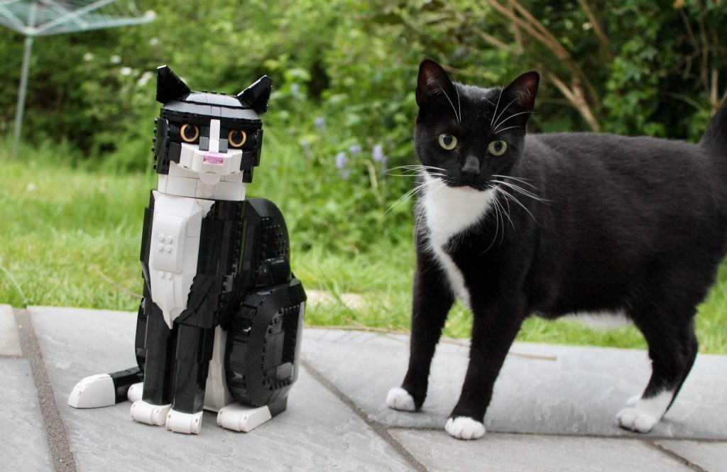 LEGO Ideas 21349 Tuxedo Cat review 23 1024x665