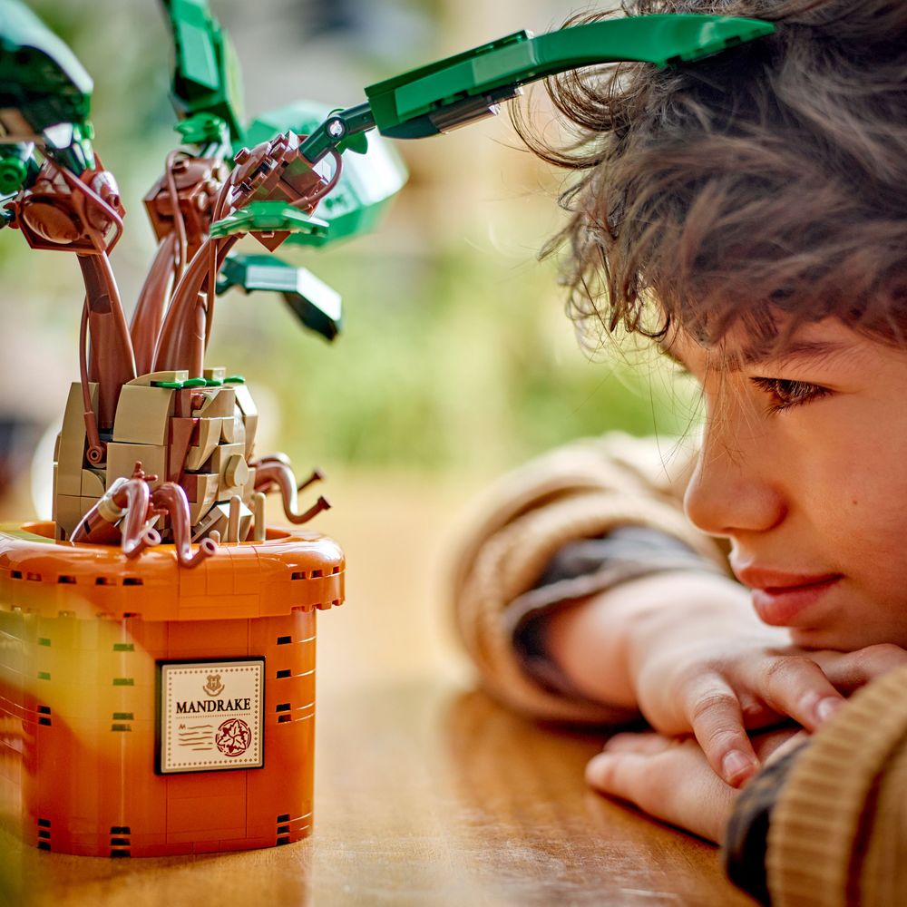 LEGO Harry Potter 76433 Mandrake 6