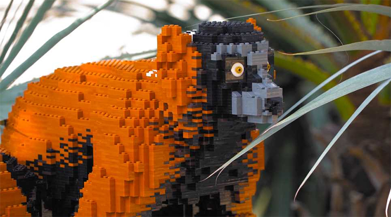 Ultimate Brick Safari opens today at Knowsley Safari
