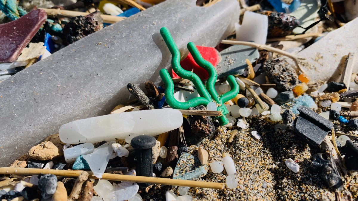 LEGO says it ‘can’t turn back the clock’ in response to cargo spill