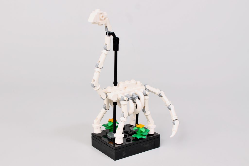 LEGO Icons 10326 Natural History Museum review 33 1024x683
