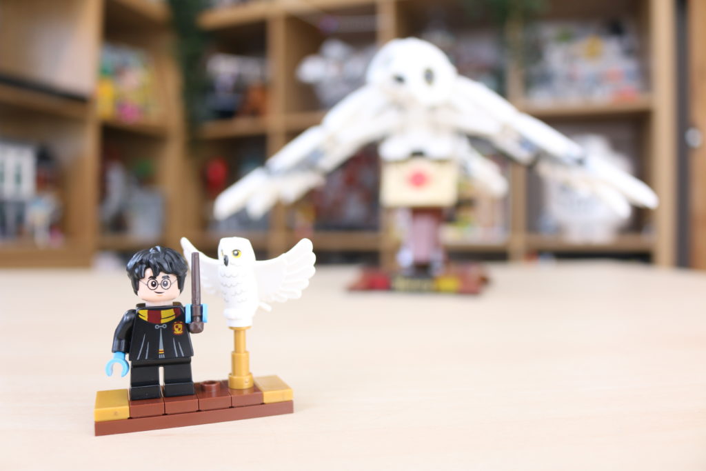 LEGO Harry Potter 75979 Hedwig review 2