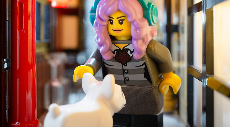 Brick Pic of the Day: Making friends