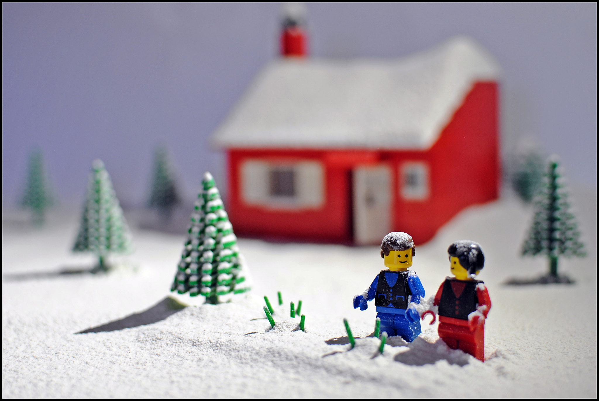 Brick Pic of the Day: 06 December 16
