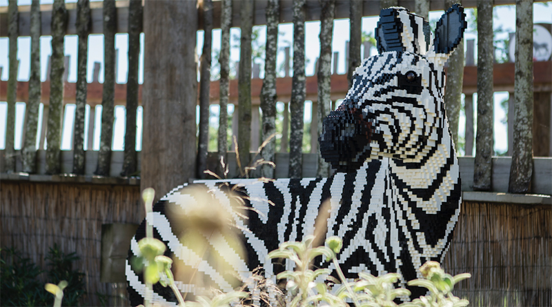 Great Brick Safari LEGO exhibit coming to Twycross Zoo