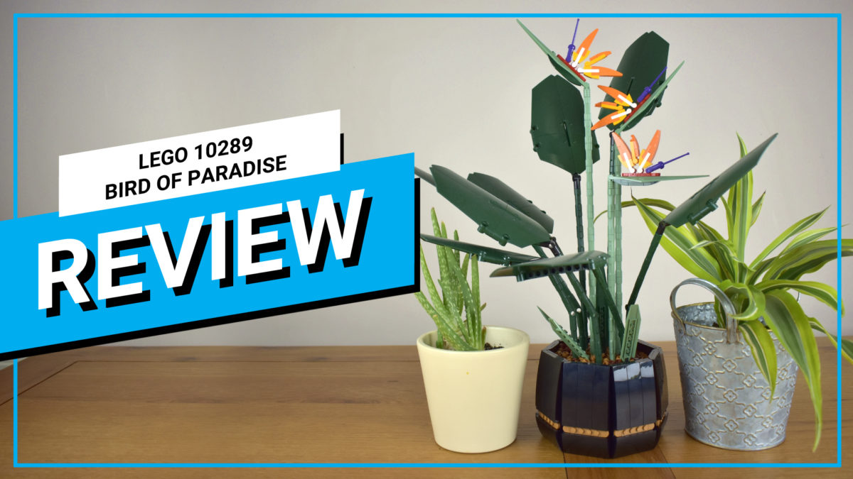 Video review: LEGO Botanical Collection 10289 Bird of Paradise