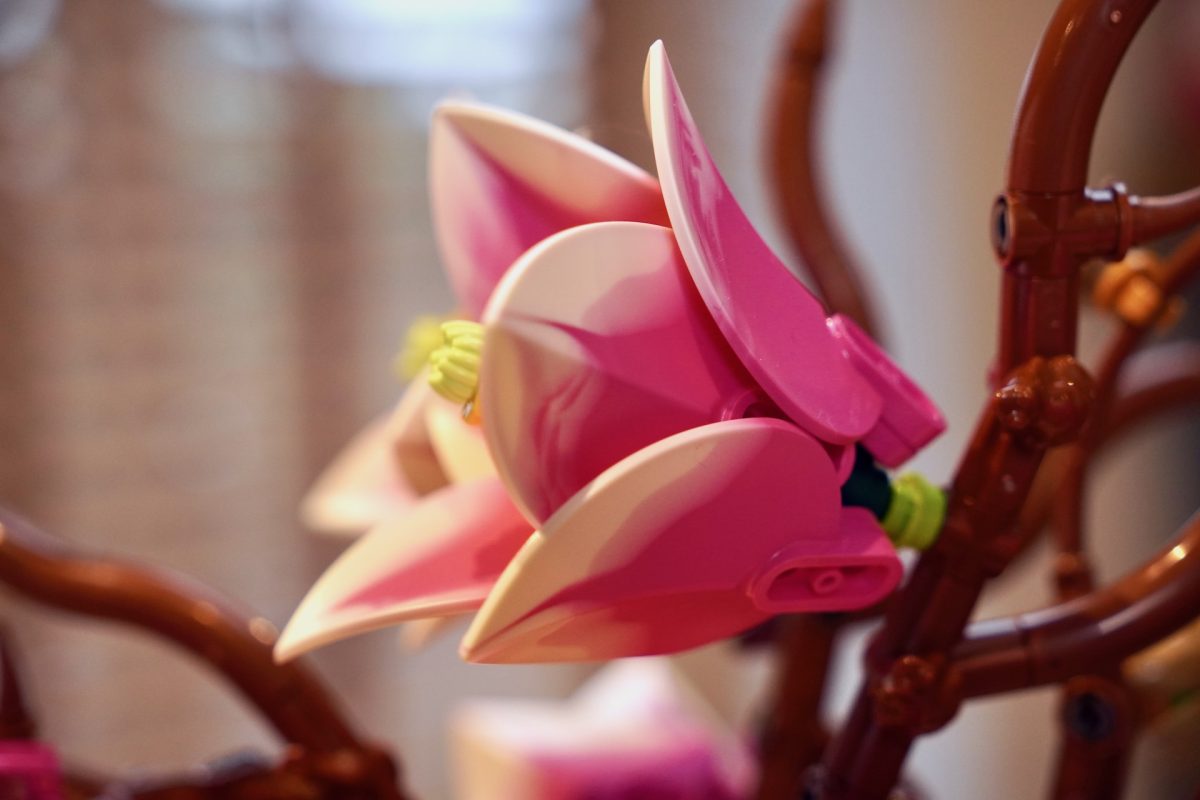 LEGO Botanicals 11510 Magnolia Branches review 8 1200x800
