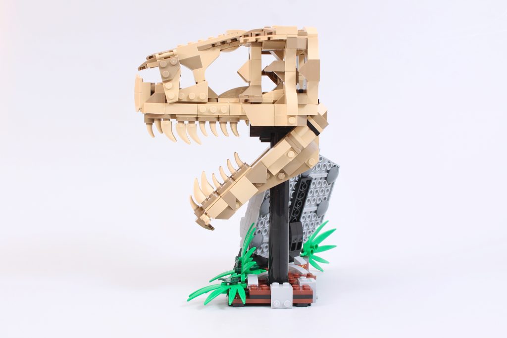 LEGO Jurassic World 76964 Dinosaur Fossils T. rex Skull review 4 1024x683