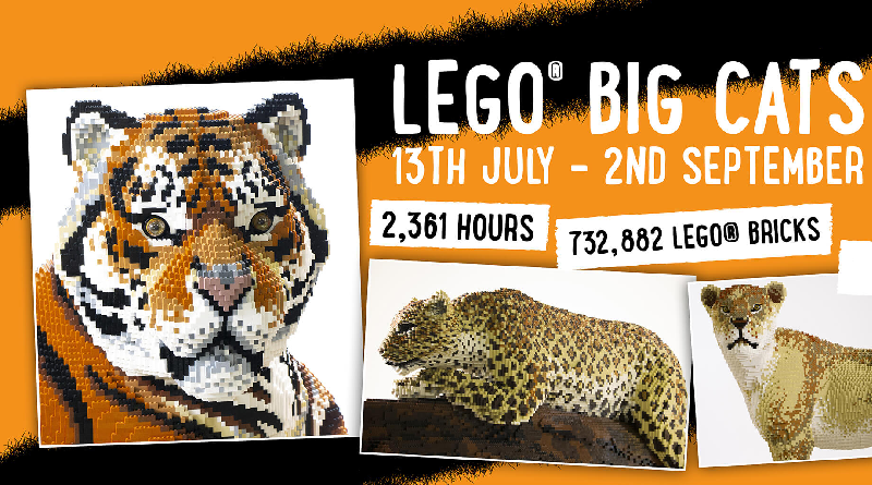 Twycross Zoo to host LEGO Big Cats exhibit