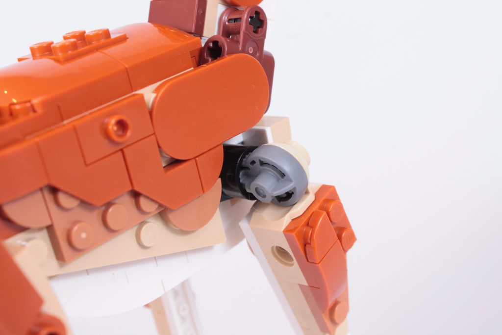 LEGO Creator 3 in 1 31150 Wild Safari Animals review 25 1024x683