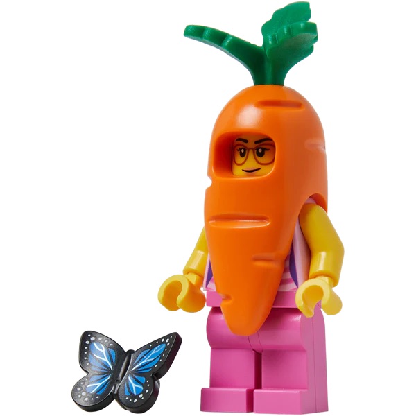 LEGO Build a Minifigure 2