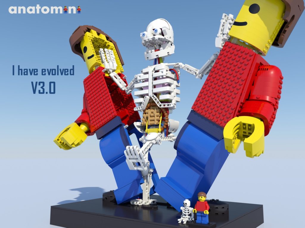 BrickLink Designer Program Anatomini
