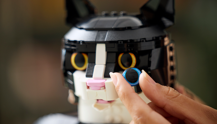 LEGO Ideas 21349 Tuxedo Cat eyes