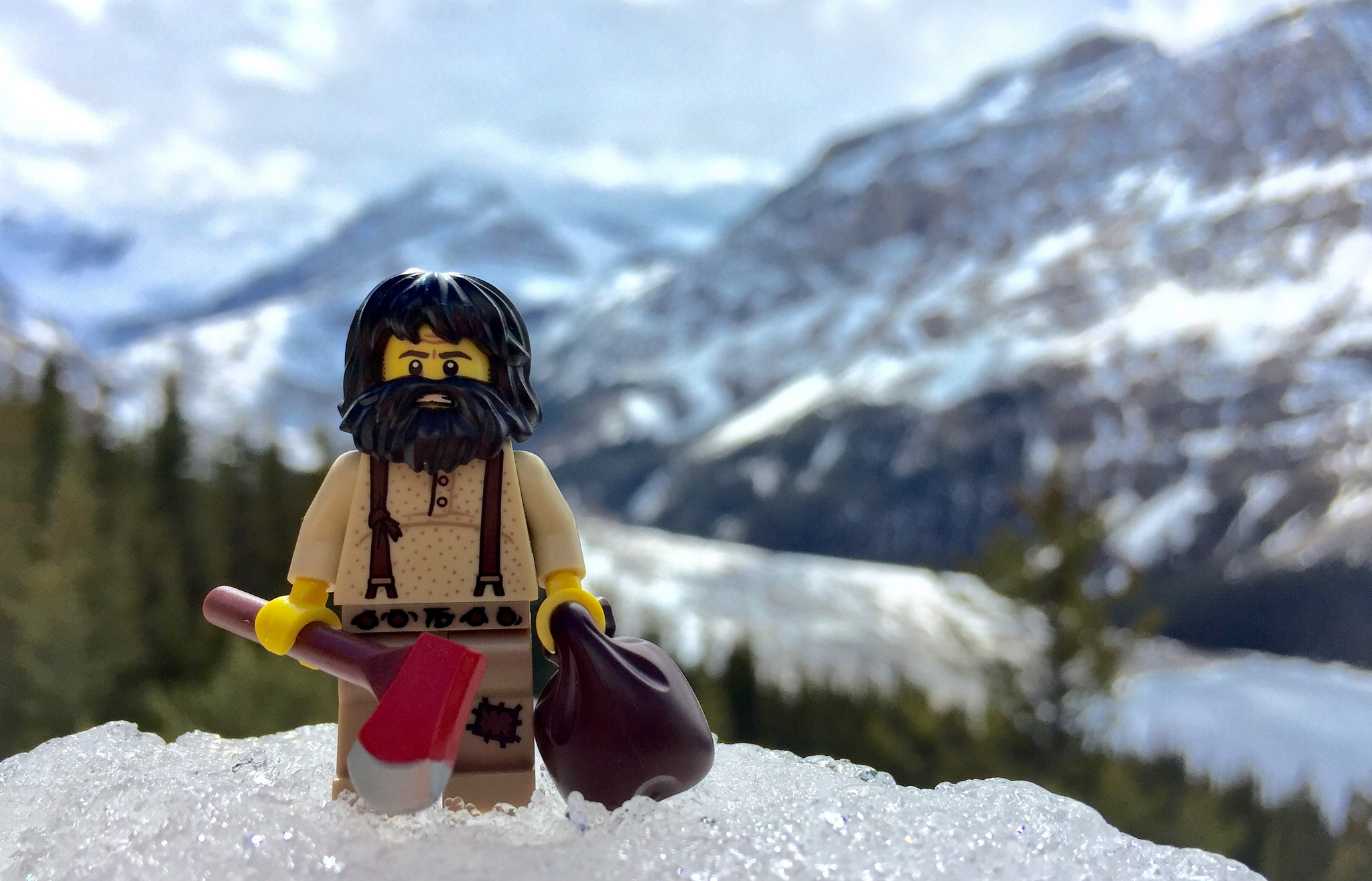 Brick Pic of the Day: Rocky Mountain man