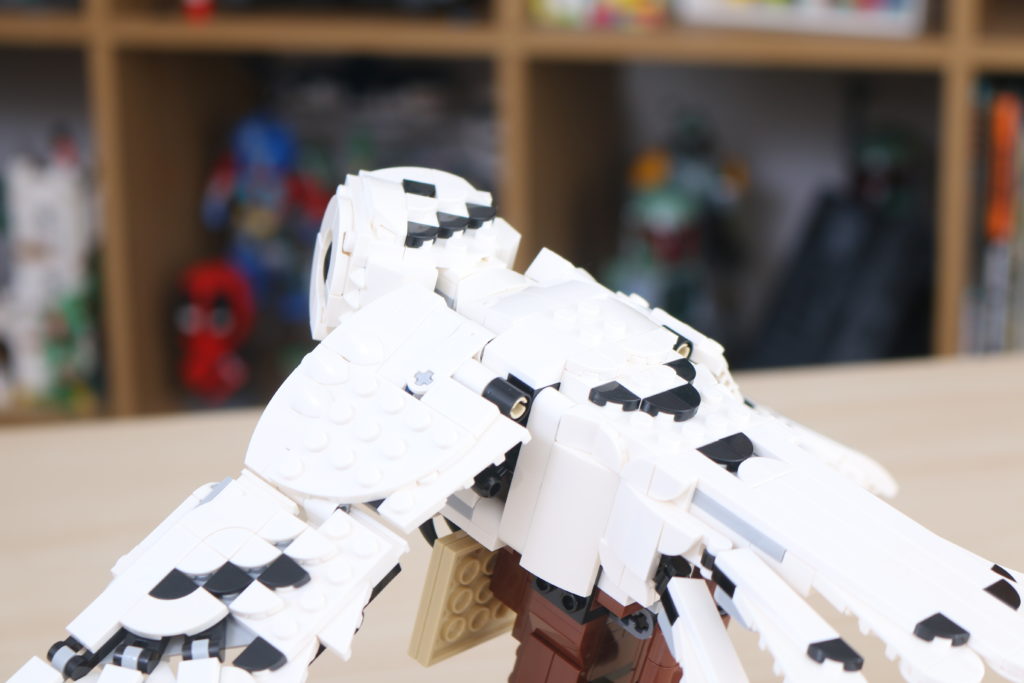 LEGO Harry Potter 75979 Hedwig review 24