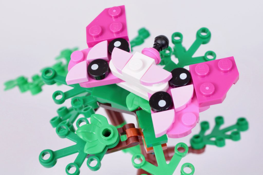 LEGO Creator 3 in 1 31150 Wild Safari Animals review 33 1024x683