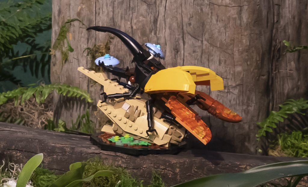 LEGO Ideas 21342 The Insect Collection beetle 1024x621